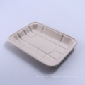 Wholesale biodegradable paper pulp bagasse food tray